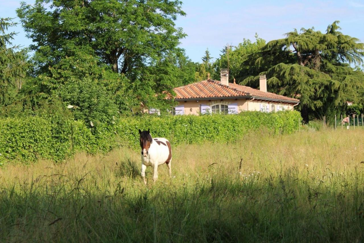 Gite De La Meronne Vindelle Luaran gambar